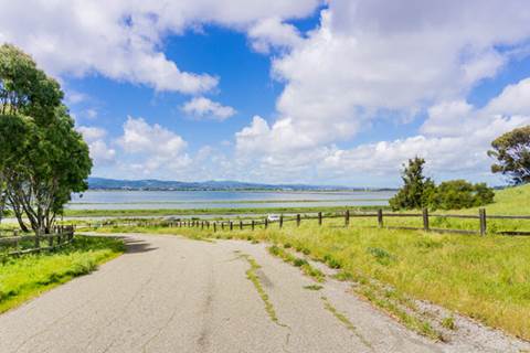 Road with grass and bay in the background.