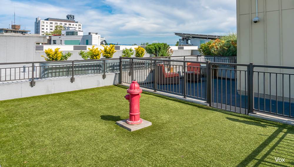 Vox pet-friendly apartments dog park