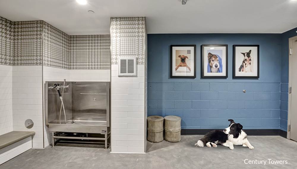 Century Towers Pet Washing Station