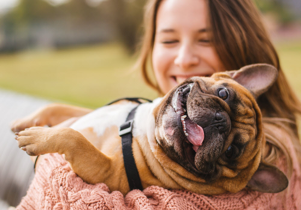 Small and happy dog with smiling owner at the park. 