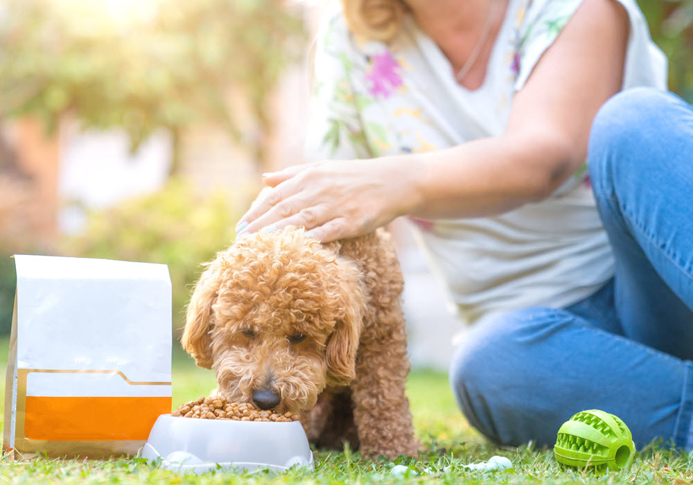 Woman with small dog eating food from a bowl.