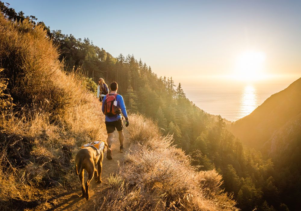 West coast hiking trail with sun on the horizon