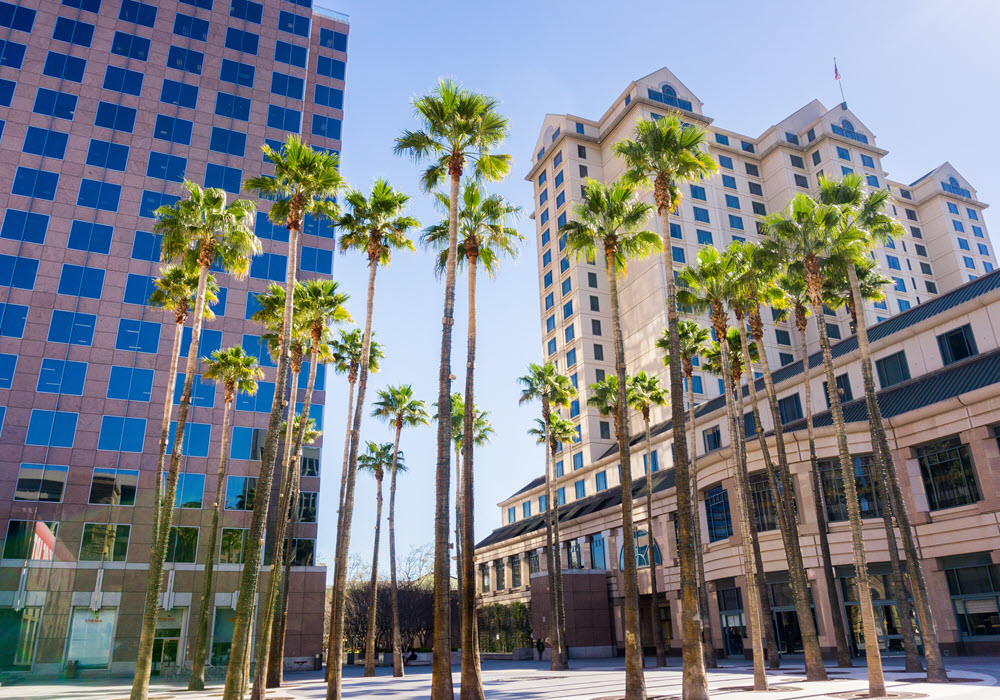 Downtown San Jose with palm trees and office buildings.