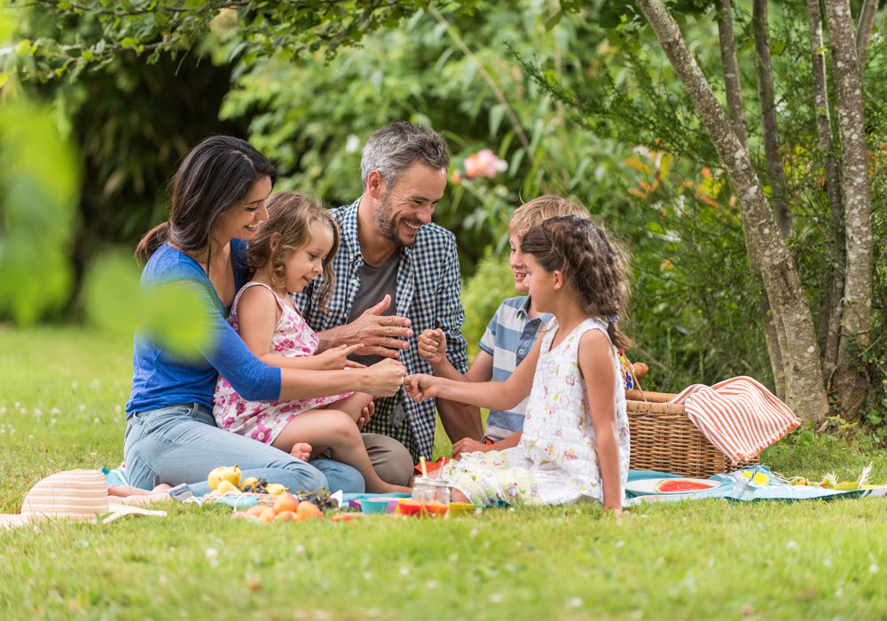 Family of four having a picnic with Summer recipes 