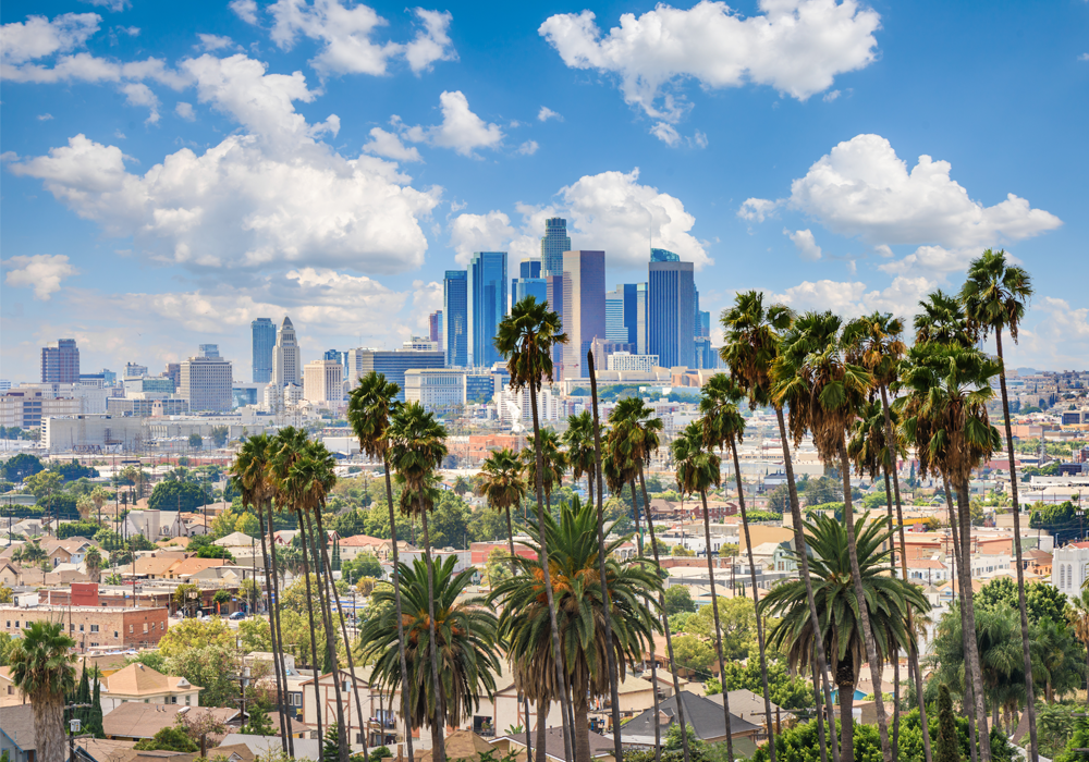 Cloudy day of Los Angeles Downtown Skyline with palm trees in foreground