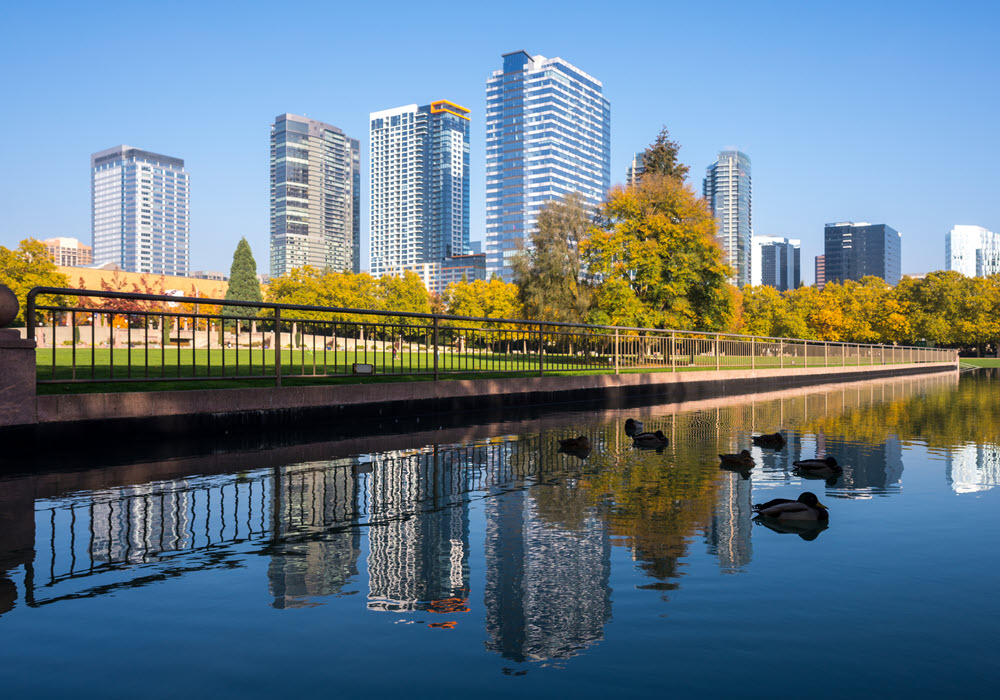 City view of Bellevue from a park.