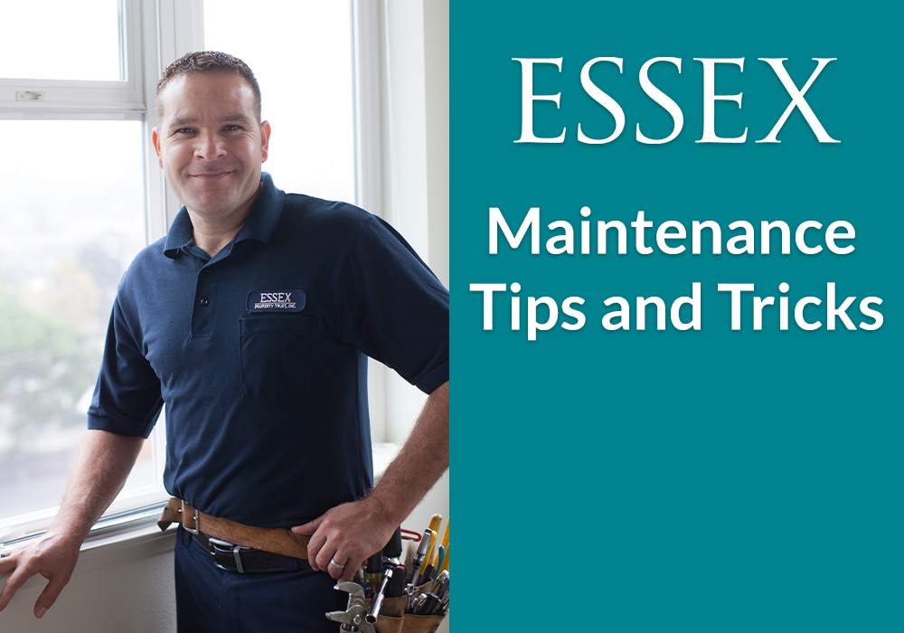 Essex Maintenance Tips and Trips - Prevent Garbage Disposal and Kitchen Sink Clogs