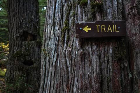 Hiking Trail