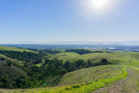 Rolling hills with trees.