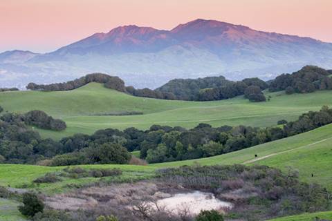 Grass and trees with mountains in background at sunset.