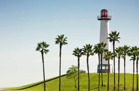 Palm trees with lighthouse in background.