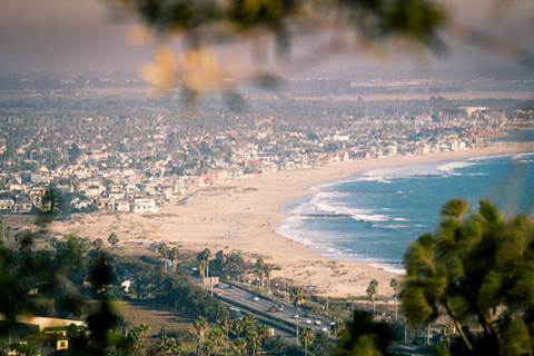 View of city and beach through leaves.