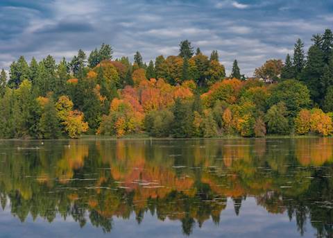 Lake and greenery in Lynwood, Washington.