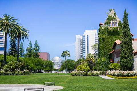 Park with landscaped foliage and tall buildings.