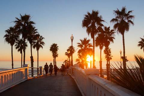 Walking bridge surrounded by palm trees at sunset.