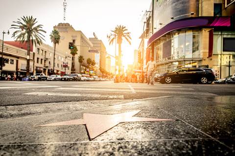 Hollywood star on sidewalk at sunset.