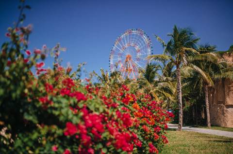 Lush landscaping with ferris wheel in background.