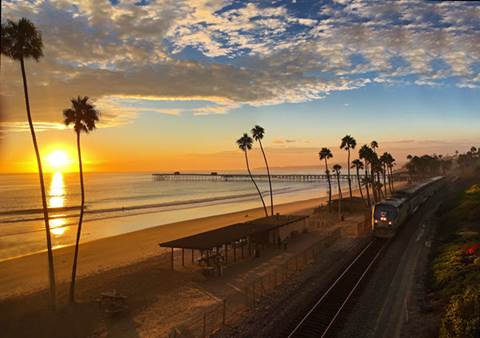 Beach  with palm trees and train tracks at sunset.