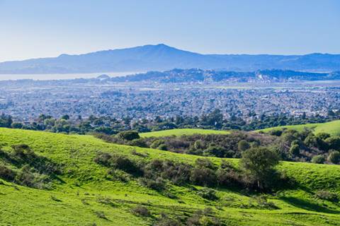 Grass and trees with mountains in background.