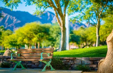 Bench with trees in background.