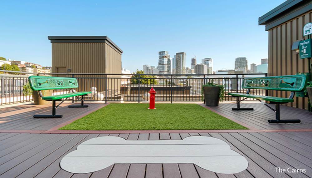 The Cairns pet-friendly apartments dog park