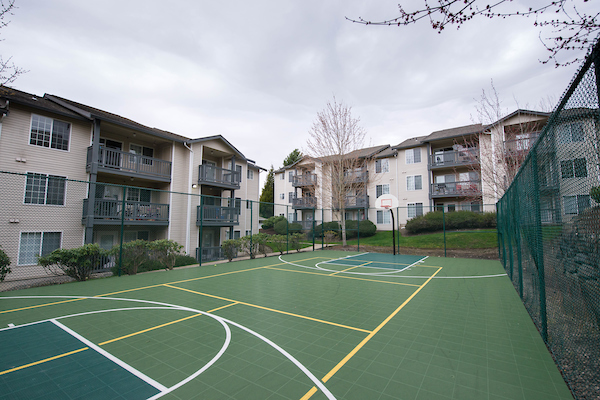 Basketball Court