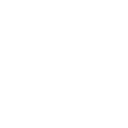 Velo Ray Logo