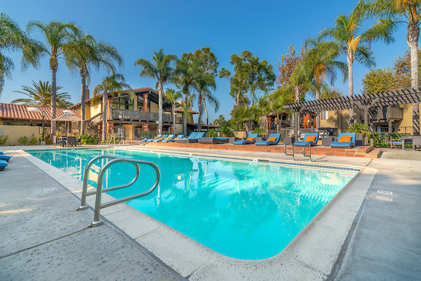 Outdoor swimming pool area with lounge seating surrounded by palm trees.